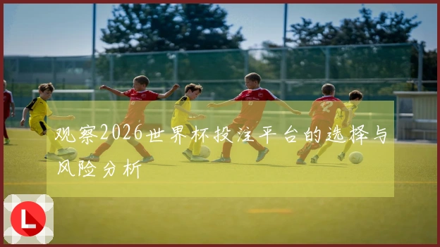 观察2026世界杯投注平台的选择与风险分析