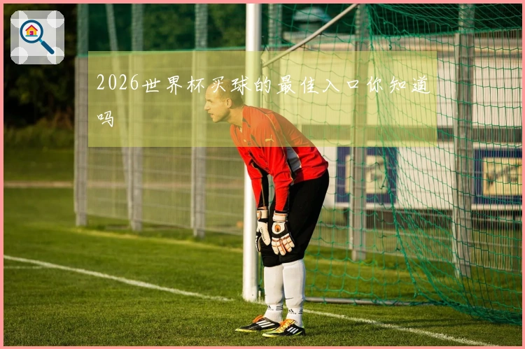 2026世界杯买球的最佳入口你知道吗