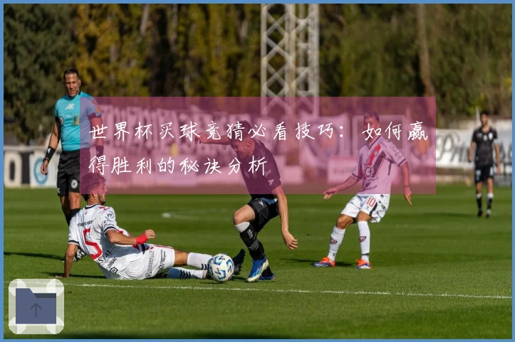世界杯买球竞猜必看技巧：如何赢得胜利的秘诀分析