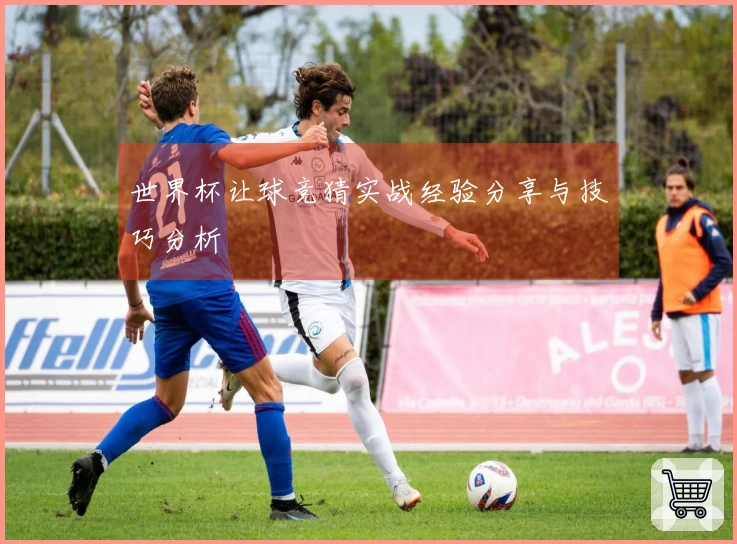 世界杯让球竞猜实战经验分享与技巧分析