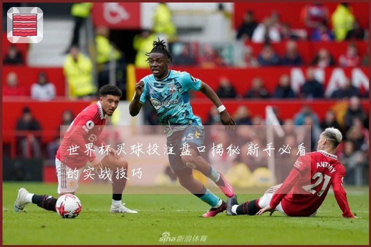 世界杯买球投注盘口揭秘 新手必看的实战技巧