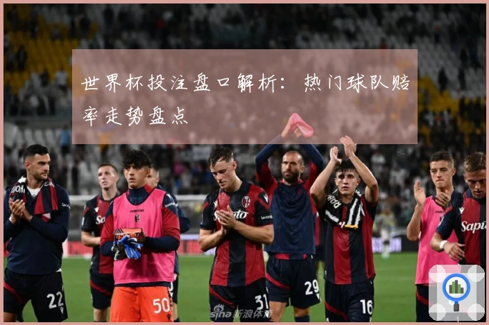 世界杯投注盘口解析：热门球队赔率走势盘点