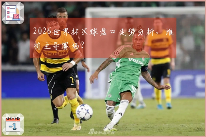 2026世界杯买球盘口走势分析，谁将主导赛场？